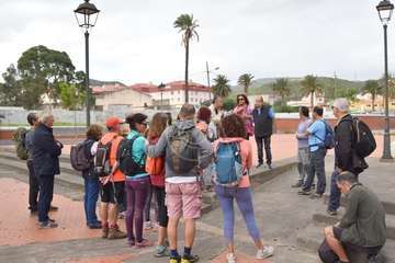 Éxito de la ruta de los árboles de Jinámar organizada por Turcón/TA.